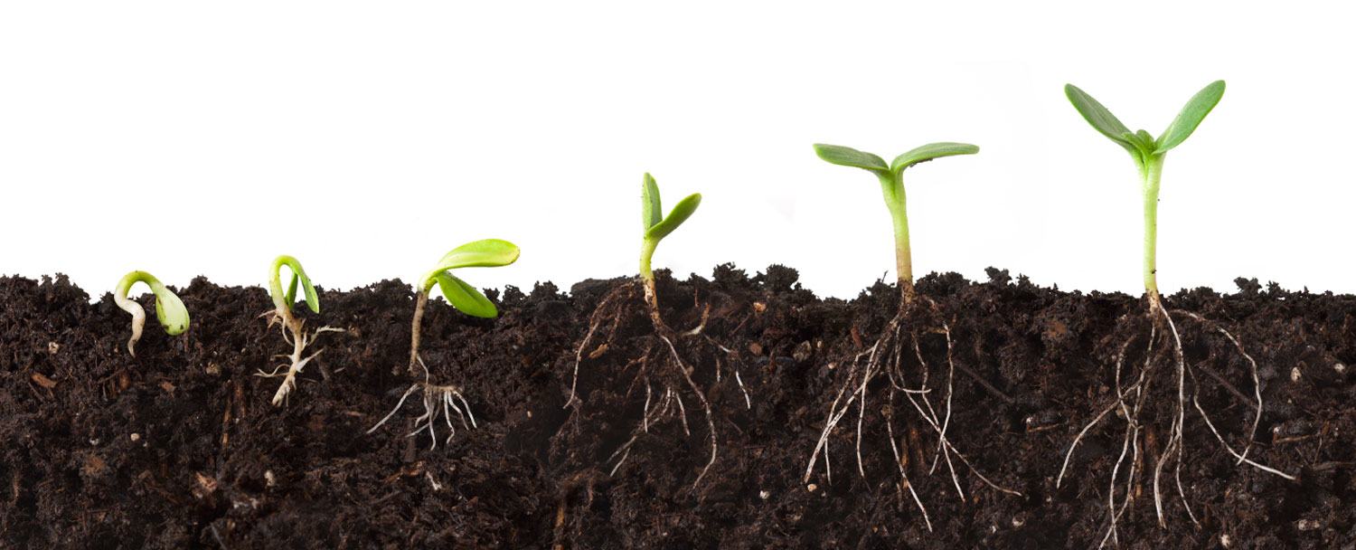 The Six Stages of Contract Management Within an End-to-End Ecosystem
