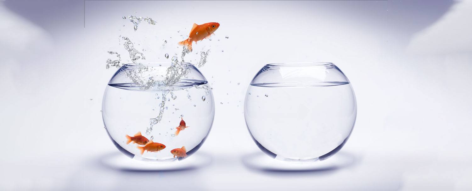 Contract Automation Software: Taking the Leap